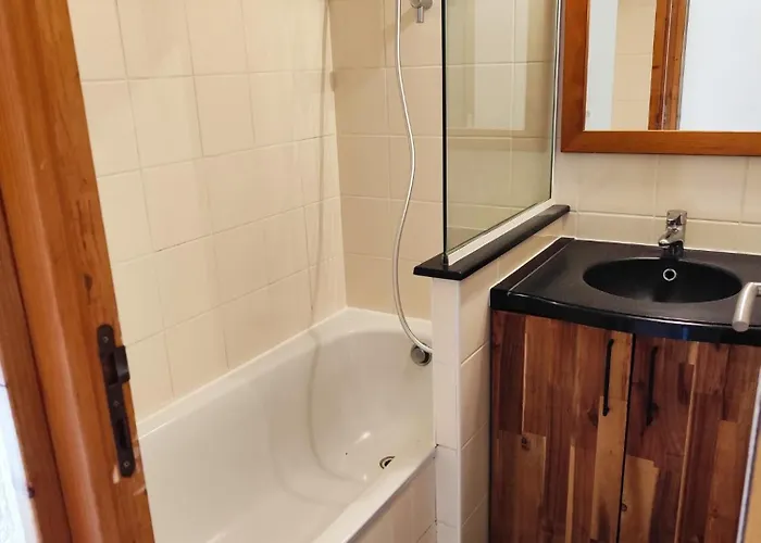 Belle Plagne - Pieds Des Pistes Et Esf ! La Plagne