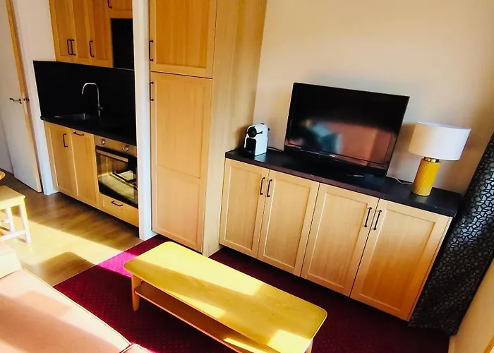 Belle Plagne - Pieds Des Pistes Et Esf ! * La Plagne